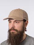 Бейсболка LEVIS арт. D7589-0017 Essential Cap (brown)
